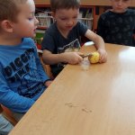 phoca_thumb_m_zajci a zelenina 7 Fotogalerie